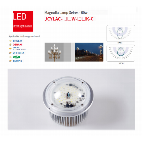 LED Street Light Module magnolia lamp seires street light module Manufactory