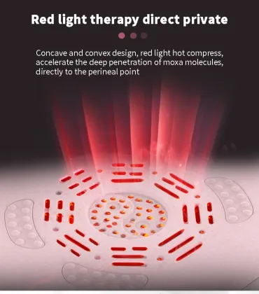 Convenient Home Physiotherapy Warm Moxibustion Instrument with Circulating Heating