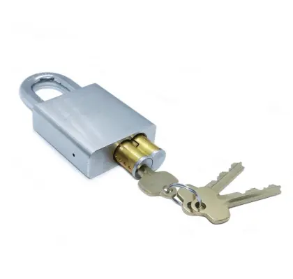 SFIC Master Cylinder Inerchangeable Brass Padlock