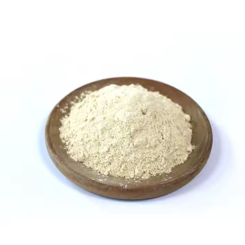 Garlic Extract Powder Bulk for Seasoning Pure Garlic Powder