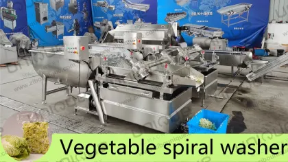 Fresh Cut Salad Vegetable Washing Machine
