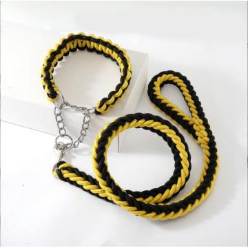 Collar de perro y conjunto de correa