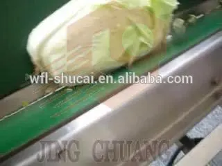 Cabbage Cutting Machine/Cabbage Cutter