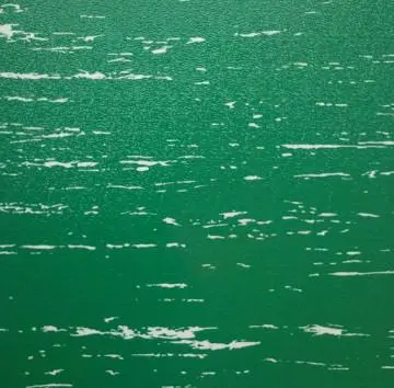 green flooring PVC laminate flooring vinyl flooring