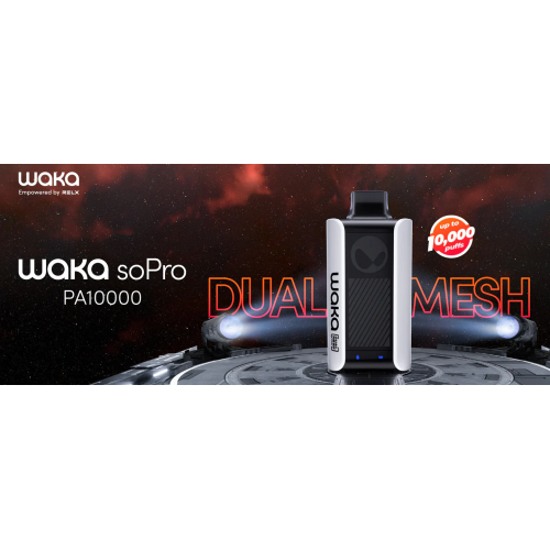 Waka Sopro PA10000 -Dual -Netz