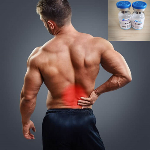 TB500 Powder Popular peptide Bodybuilding powder TB-500 Manufactory