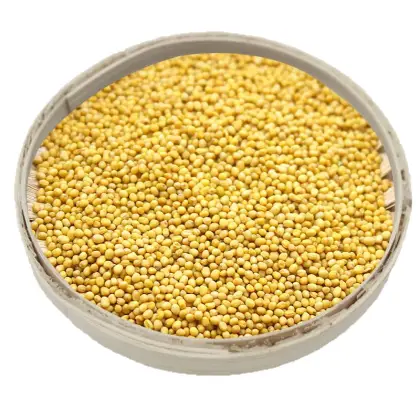 Free Sample Mustard Seed Extract