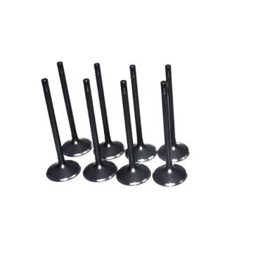 12622329 Intake Valve for Engine