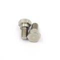 Customized Stainless Steel Fastener Hex Head Bolts