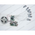 /msite/products/detail/productid/4244165/id/98245.html