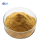 Urtica Dioica Extract Powder