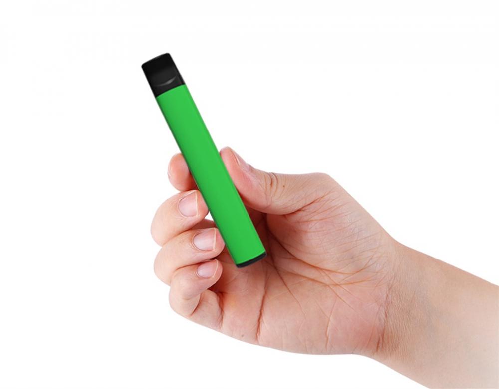 Dernières saveurs de fruits Dernivables Vape Pen 500puffs