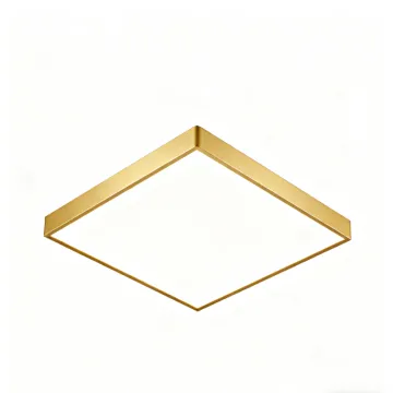 Ceiling light for home renovation