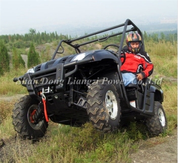 800CC Road Legal Dune Buggy (LZ800-1)