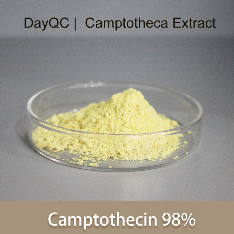 Camptotheca Acuminat -Extrakt reines Camptothecin -Pulvermassen