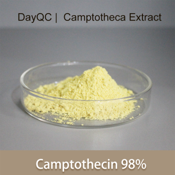 Εκχύλισμα CampTotheca Acuminate Pure Camptothecin Powder Bulk