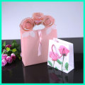 2014 Popular fashion design recyclable very small PP frosted white plastic foldable promotional gift bags wholesale