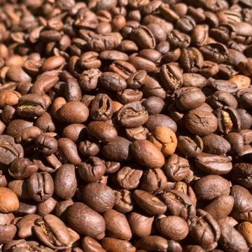 Aurora Bright Coffee beans