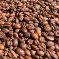 Granos de café Aurora brillante