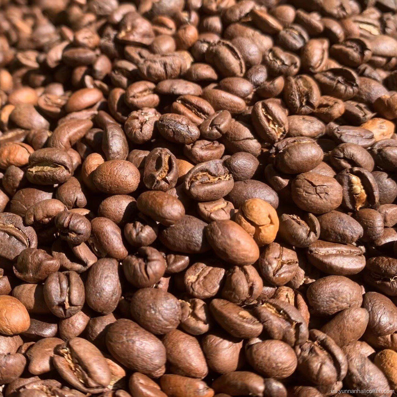 Granos de café Aurora brillante