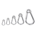 Carabiner spring hook with eyelet