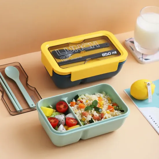 HYRI-PLB-011 Plastic Lunch Box: Your Ultimate Portable Meal Solution