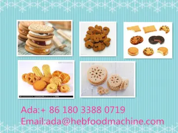 SH-V002 biscuit making machine machinery