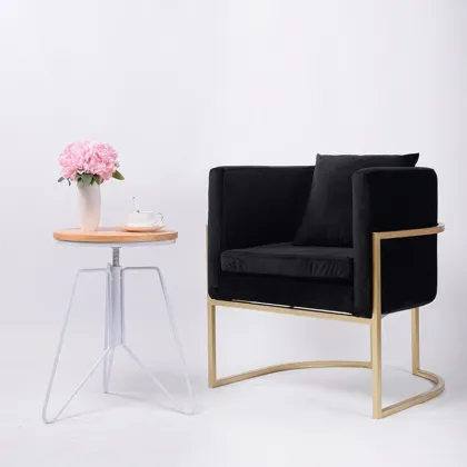 Stainless Steel Frame Sofa Chairs Leather Club chair