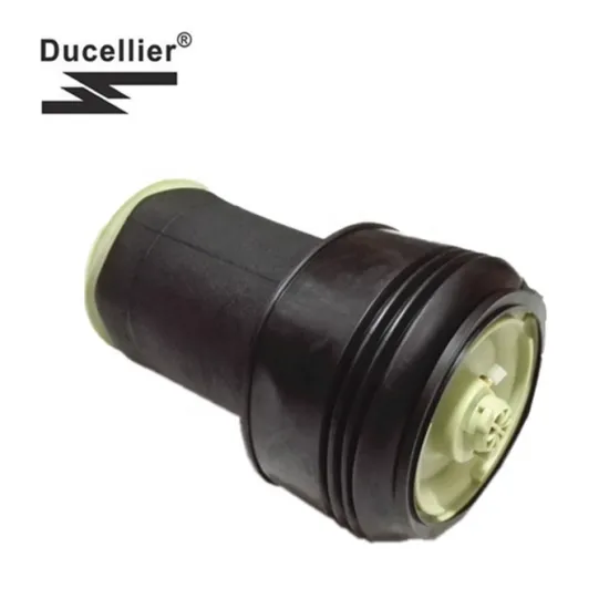 BMW X5(E70) X6(E71, E72) Rear Air Spring Strut Air Suspension 37106790078 37106790079