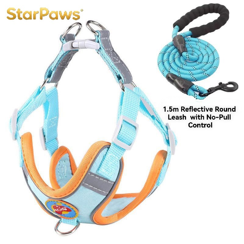 Breathable Dog Harness and Leash Set
