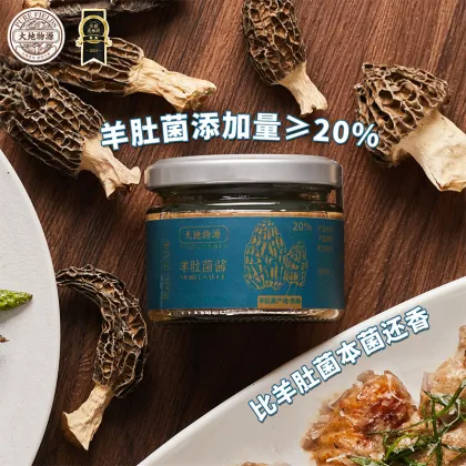 Delicious Morel Mushroom Sauce Flavor