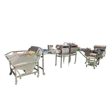 Egg Food Processing Machine: Cake Making and Egg Crushing Line