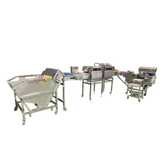 Egg Food Processing Machine: Cake Making and Egg Crushing Line
