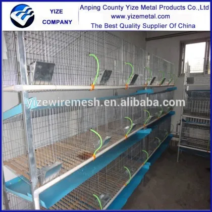 rabbit breeding for rabbit cage mesh