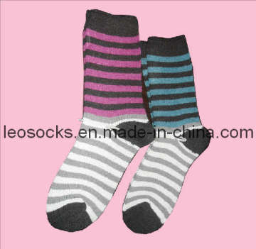 Wool Socks (DL-WS-19)