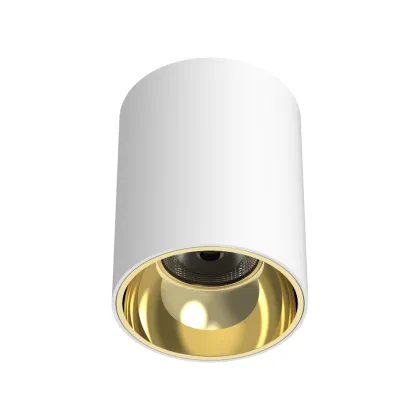 IP65 Outdoor LED IP44 18W Hi-Tech Downlight