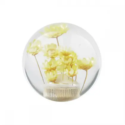 Universal Star flower car gear knob