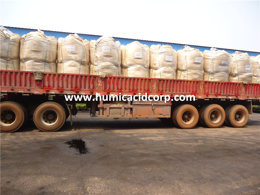 Humate Mine Leonardite Mine Humic Acid 70% From Xinjiang, High Quality Leonardite ...