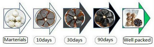 black garlic fermenting process