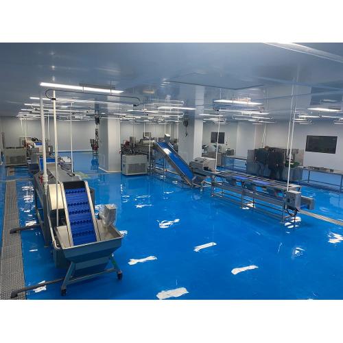 Fruit Processing Large Scale Root Onion Processing line Production Machines Supplier