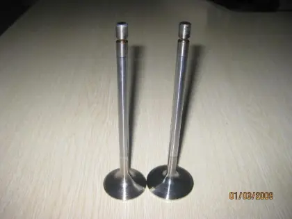 The Car Engine Valve for FIAT 85S