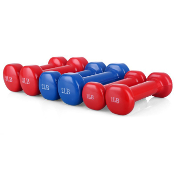 Family Frosted Non-Slip Hex Weights Fitness Basics Neoprene Dumbbells