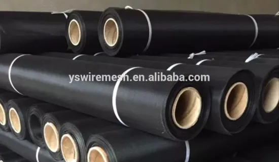 black coated stainless steel screen window net