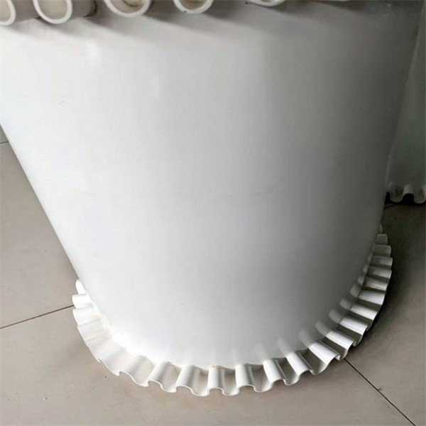 PE Conveyor belt with skirt (1)