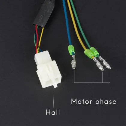 Electric Scooter Hub Motor Wheel Motor