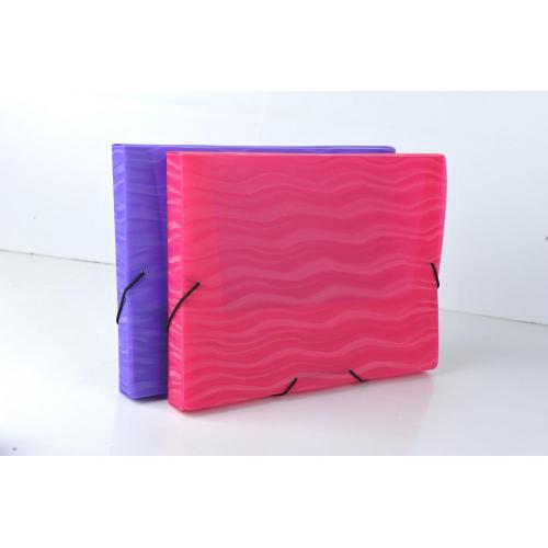 PP accordion easy identification file box