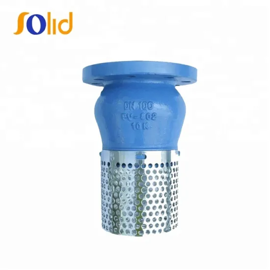 Price PN16 Cast Iron Flanged Type Foot Valve With Strainer