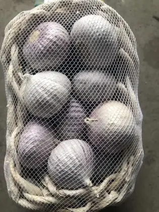 Single clove garlic for export