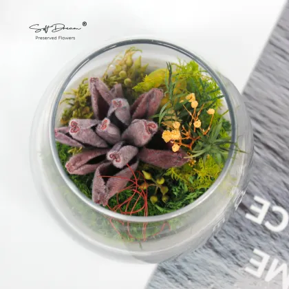Preserved Moss and Botanicals for Home Decor and Gifts