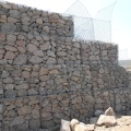 Campo de ovelha de gado de malha de arame galvanizado de pastagem
